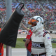 Illustration for article titled Fascinating Little Details From Around A NASCAR Paddock